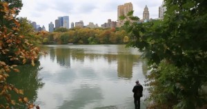 skyline - central park