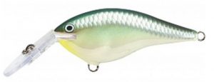 Sneak Peak New Rapala Crankbaits and Jerkbaits with Mike Iaconelli