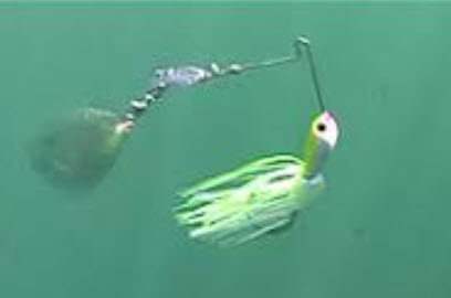 Spinnerbait 