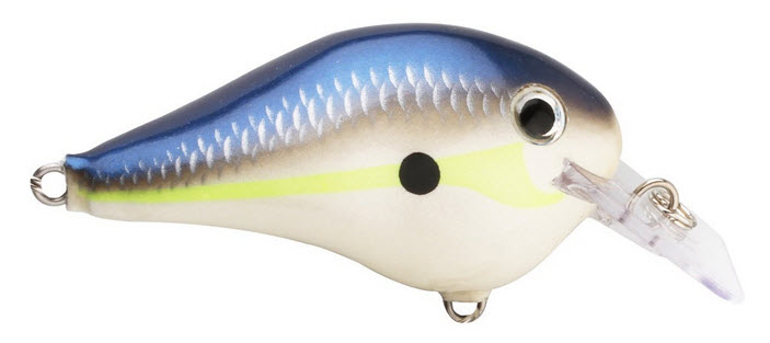 Rapala BX Minnow  Wake Baits — Lake Pro Tackle