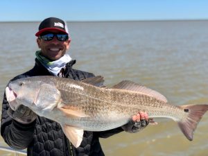 Bull Reds