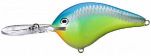 Rapala DT Series Crankbaits