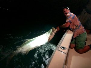 Tarpon 