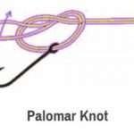Palomar knot