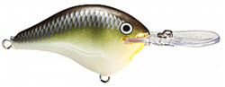  Rapala Ike's Custom Ink Crankbait (Caribbean Shad