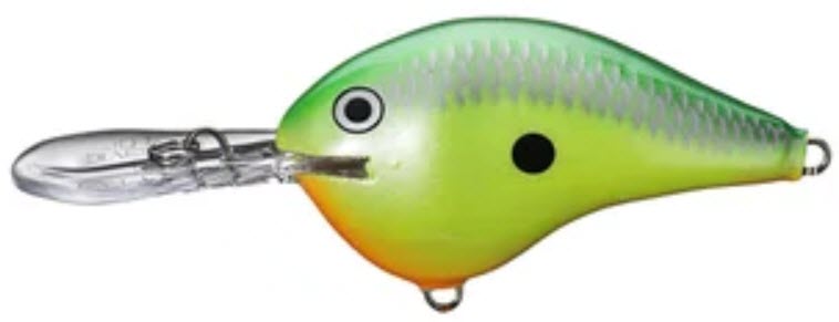 Rapala DT Series Crankbaits 