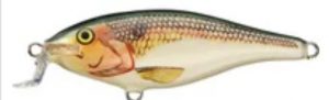 Rapala Shallow Shad Rap