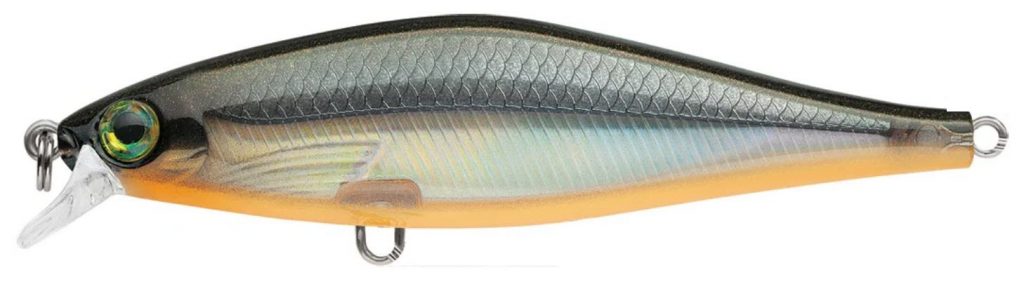 Jerkbait Choices for Right Now! – Ike's Fishing Blog