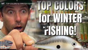 Wintertime Colors – Ike's Fishing Blog