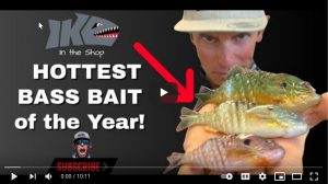 A Different Plastic Bait: Gilly – Ike's Fishing Blog