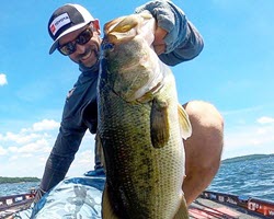 Short Arm Spinnerbaits Are Back – Ike's Fishing Blog