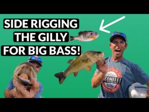 Ike in Florida Fishing the Berkley Powerbait Gilly Swimbait - VLOG