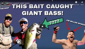 This Bait Caught Giant Bass