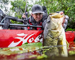 Modify Your Soft Jerkbait for More Bites – Ike's Fishing Blog