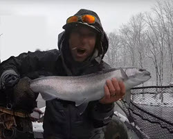 Mike Iaconelli