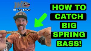 How to Catch BIG Spring BASS!