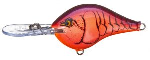 The Best Springtime Color – Ike's Fishing Blog