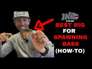 Best Rig for Spawning Bass (How to)
