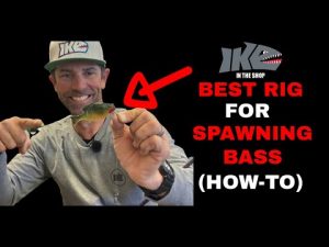 Best Ways To Rig Soft Plastic Swimbait – Video