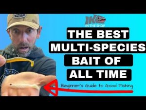 Multi-species power fishing with crankbaits