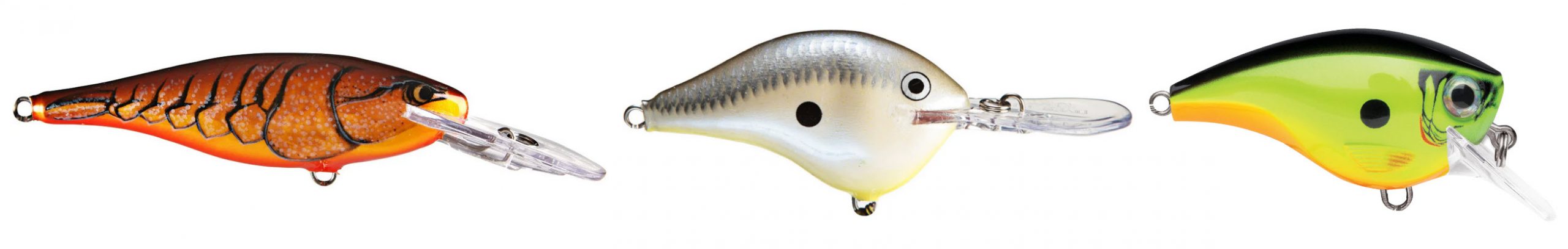 Your Definitive Guide To Choosing Crankbait Colors