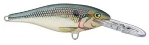 Rapala Shad Rap Crankbaits