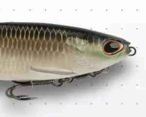 Berkley is Coming Out With a NEW BIG Swimbait! Will The Nessie Be Worth  It?? 