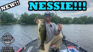 Berkley PowerBait Nessie Glide Bait, Shad, 9in