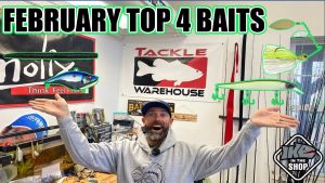 February Top 4 Baits