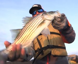 Mike Iaconelli with Striped Bass