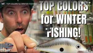Top Colors for Winter Fishing