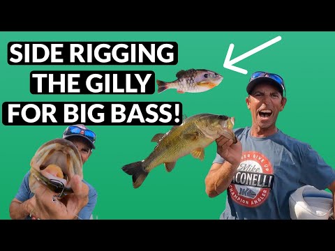 Side Rig Your Gilly – Ike's Fishing Blog