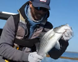 <strong>Top Five Power Fishing Lures for Early Winter Fishing</strong>