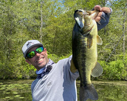 Top Four Baits for June