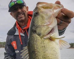 The Top Baits for May!