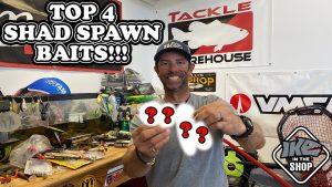 Top 4 Shad Spawn Baits