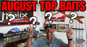 Top Baits for August