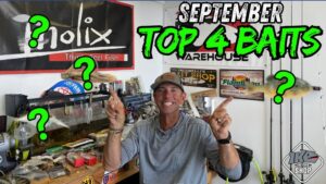 Top 4 Baits for September