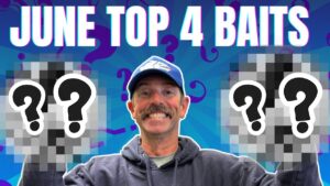 Top 4 Baits for June