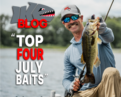 My Top Baits for July