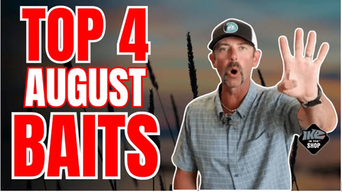 Top Four Baits for August Fishing
