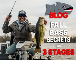 The Three Stages of Fall Bass Fishing: Unlocking the Secrets!