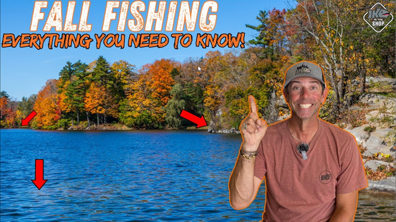 The Three Stages of Fall Bass Fishing: Unlocking the Secrets!