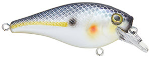 Berkley Squarebull 3.5 Crankbait