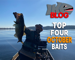 Top Four Baits for October 