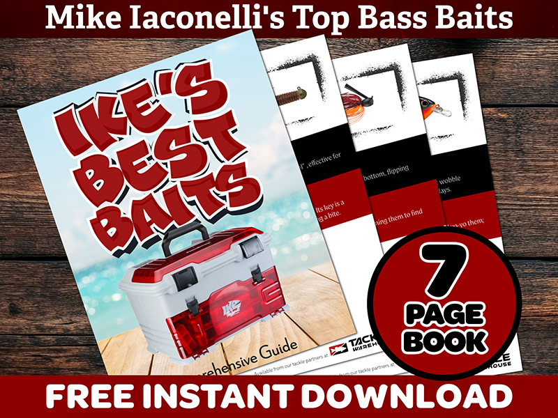 Ike's Free Best Baits PDF Download