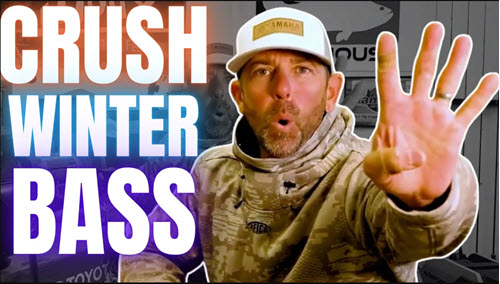 Top Four Baits for December! 