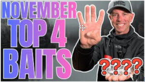 Top Four November Baits!