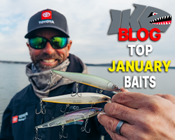 Top Four Baits for January Fishing