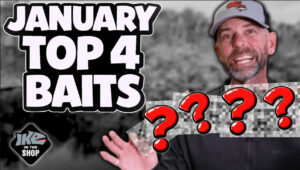 January Top 4 Baits